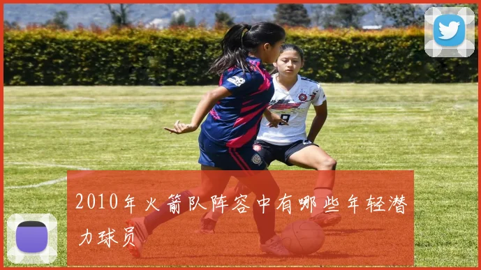 2010年火箭队阵容中有哪些年轻潜力球员