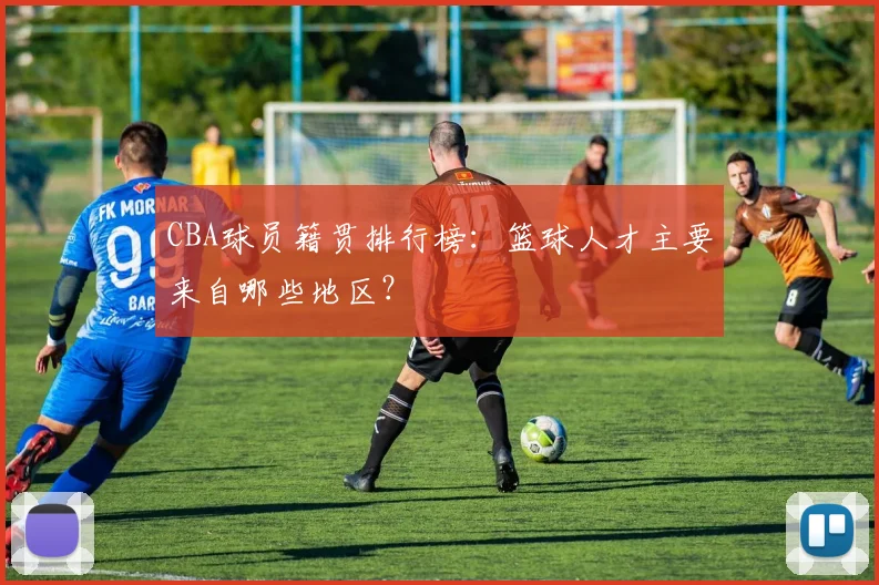 CBA球员籍贯排行榜:篮球人才主要来自哪些地区?