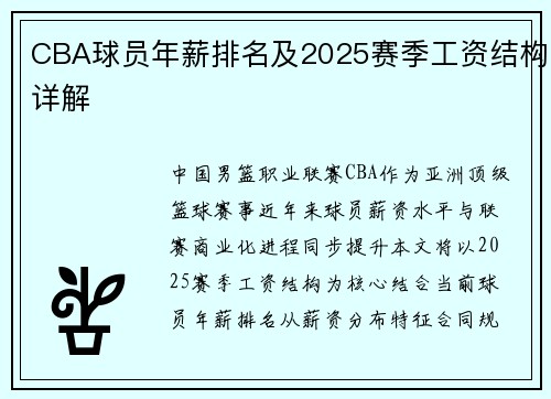 CBA球员年薪排名及2025赛季工资结构详解